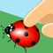 Walk on Big Bugs Pro - crazy speed tile racing game