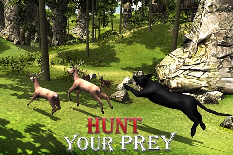 Angry Panther Attack 3D - Wildlife Carnivore Simulation Game screenshot 2