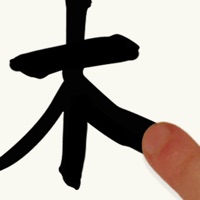 Chinese Writing Practice sur PC