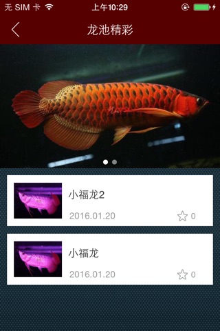 龙池水族 screenshot 4