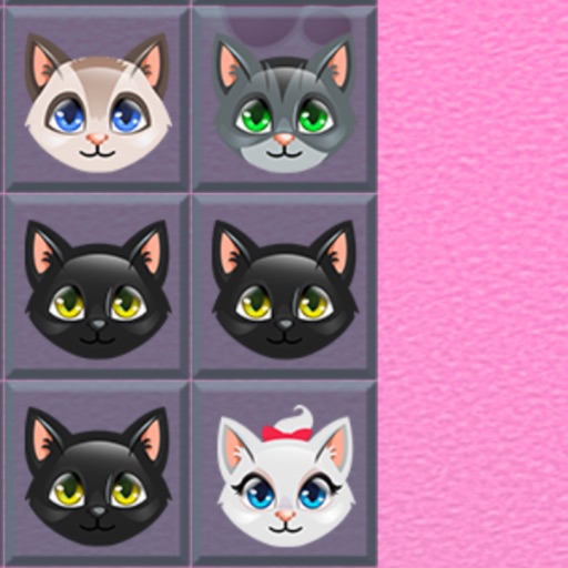 A Happy Kittens Bloom icon