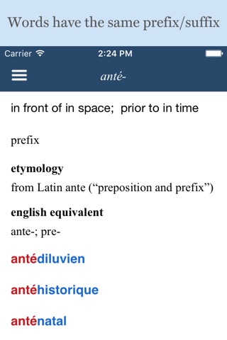 French Prefixes and Suffixes screenshot 2