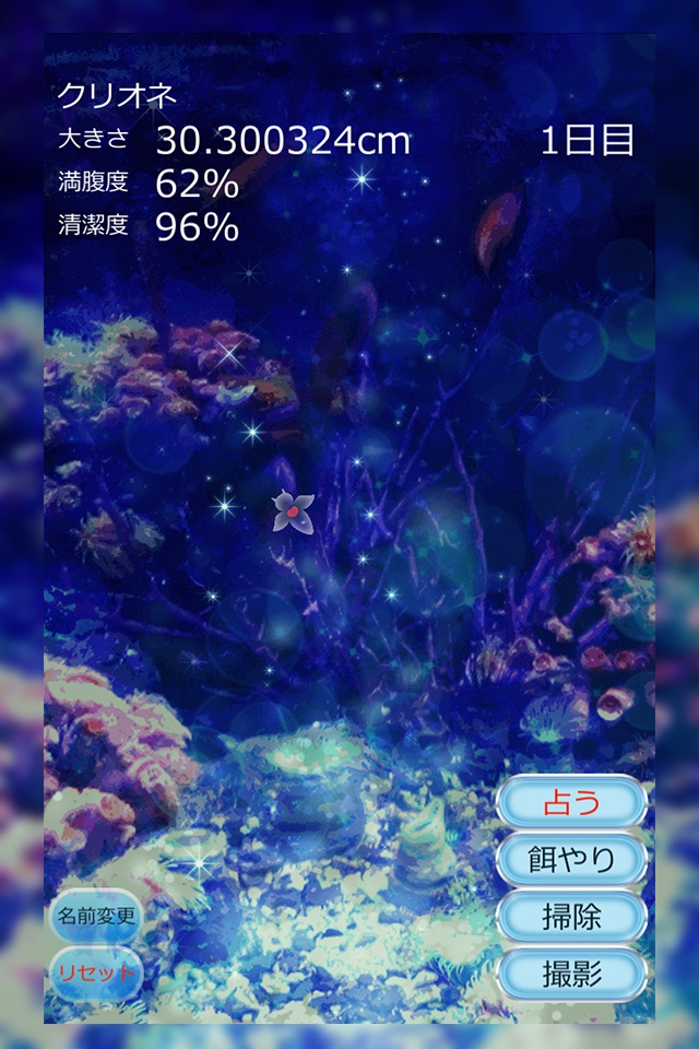 しあわせのクリオネ育成ゲーム screenshot 4
