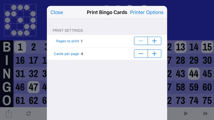 Bingo Board - A Digital Flashboard Display and Card Printer screenshot-4
