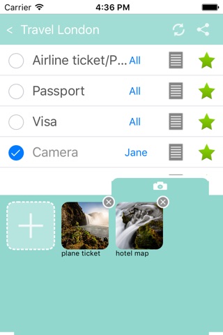 Mint T Bag (Travel packing list) screenshot 3