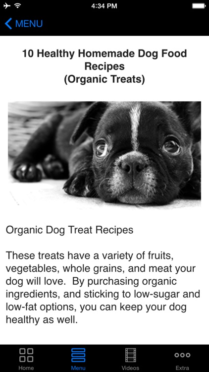 Best Homemade Natural Dog Foods & Organic Treats Recipes Guide To Save Money & More Healthy!