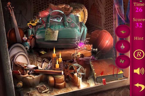 Hidden Objects Of A Golden Rules Of Cleaning screenshot 3
