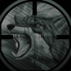 Death of wolf Hunter : The Wild Animal Challenge Hunting