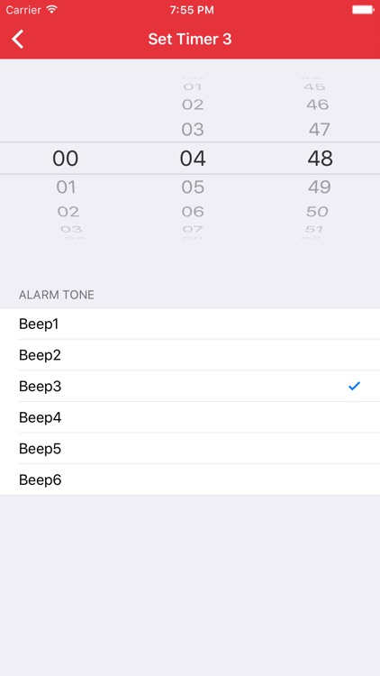 Rallye Timer