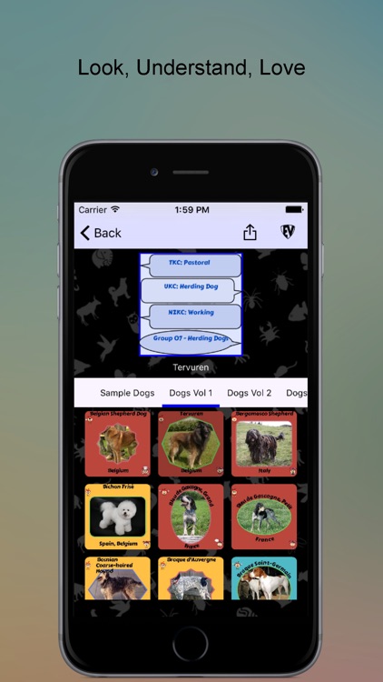 SMART EduJi Animal Lovers-Colourful Animal Stickers full of Knowledge