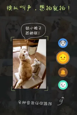 Game screenshot 萌宠相机-猫狗的拍照神器 apk