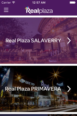 Real Plaza screenshot 4