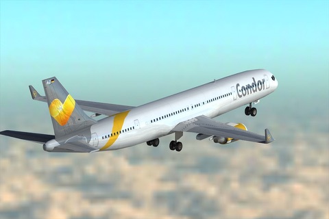 Big Bee - Cargo Plane Simulator screenshot 4