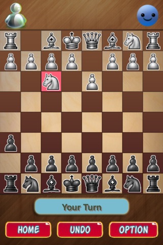 Amazing Chess Game. Train for Chess. screenshot 2