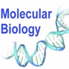 Molecular Biology Glossary: Cheatsheet with Study Guide