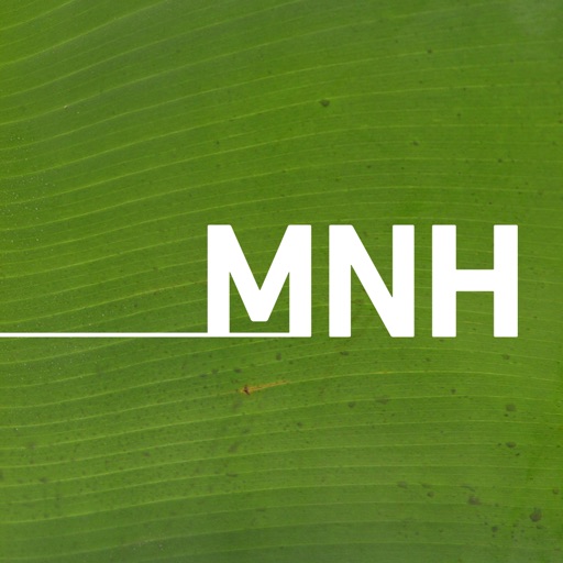 Museo de la Naturaleza y el Hombre Download