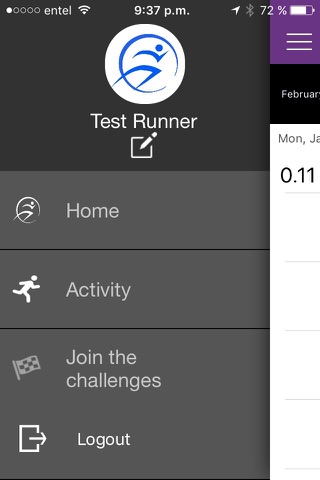 Test Runner screenshot 2