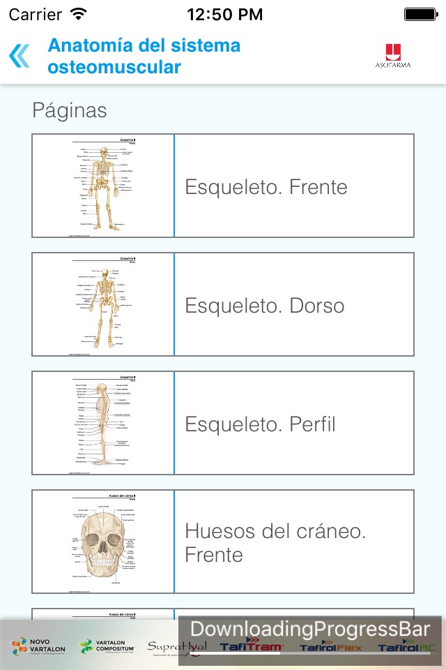 Mini Atlas Musculo Esquelético screenshot 4