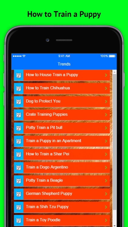 How to Train a Puppy - House Train a Puppy When You Work All Day