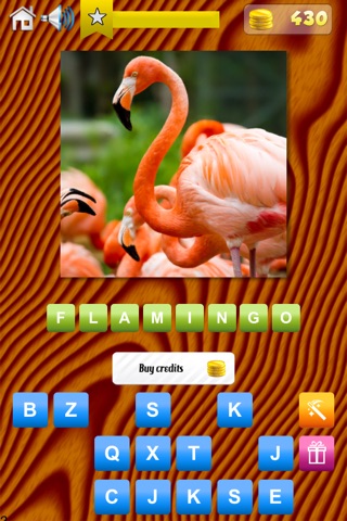 Animals Quiz - World Edition screenshot 4