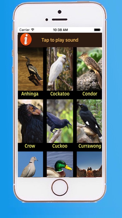 How to cancel & delete Beautiful Birds Sounds from iphone & ipad 2