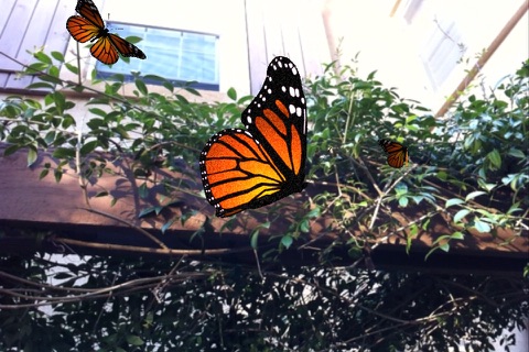 Live Butterflies screenshot 2