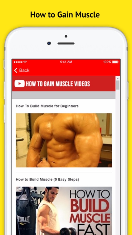 How to Gain Muscle From Basics - Learn the Tricks