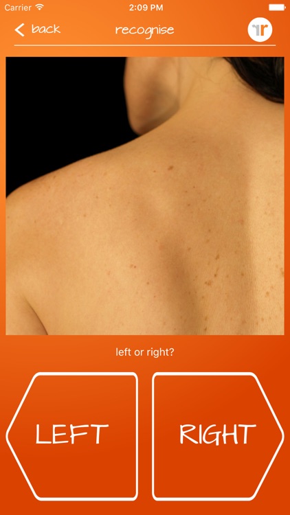 Recognise Shoulder