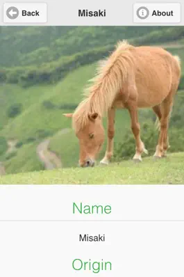 Game screenshot Horses Dictionary hack