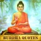 Daily Buddha Quotes helps you to bring Buddhism wisdoms into everyday life with tranquil music
