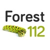 Forest112