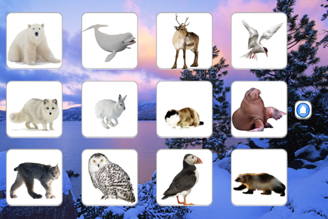 Animals North screenshot 2