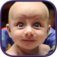 Reaction Factory - Ready To Send Reaction Pictures And Faces With Custom Meme Maker