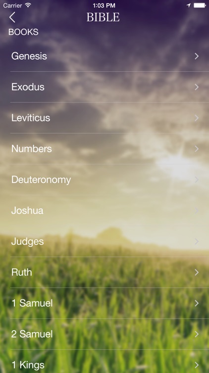 Daily Bible Verse and Mood Search screenshot-3