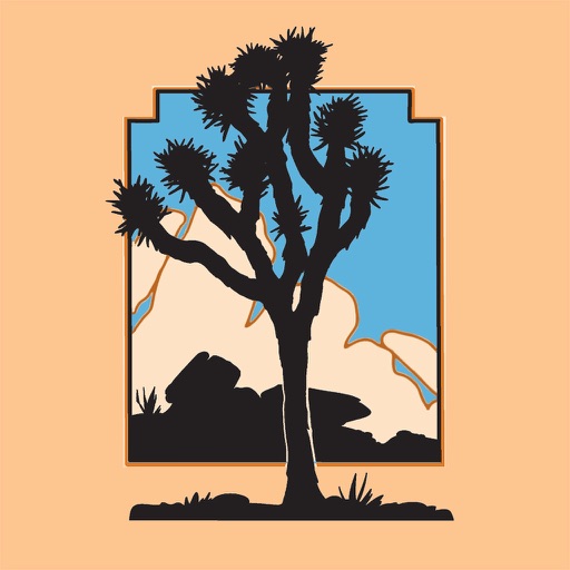 Joshua Tree National Park Essentials