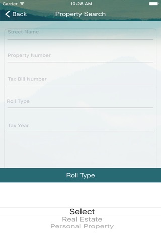 Bradford County Tax Collector screenshot 2