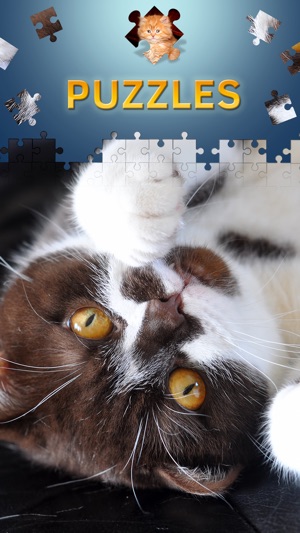 Cats Jigsaw Puzzles 2017(圖2)-速報App