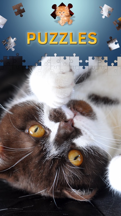Cats Jigsaw Puzzles 2017