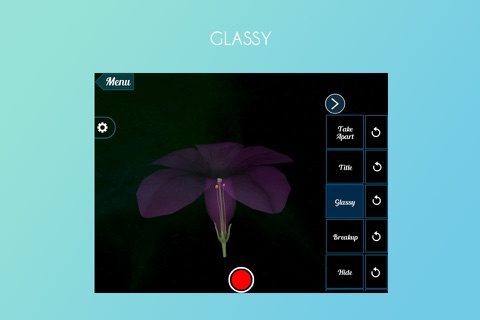 Virutla Reality(VR) Petunia Flower screenshot 4