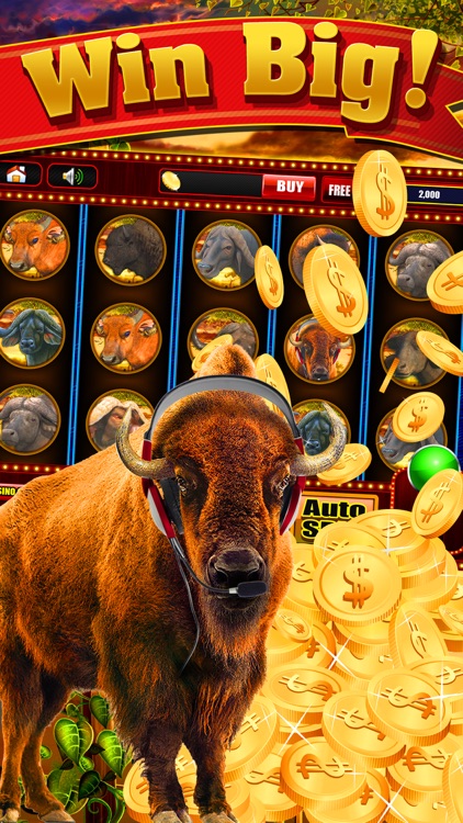 Free buffalo gold slot game