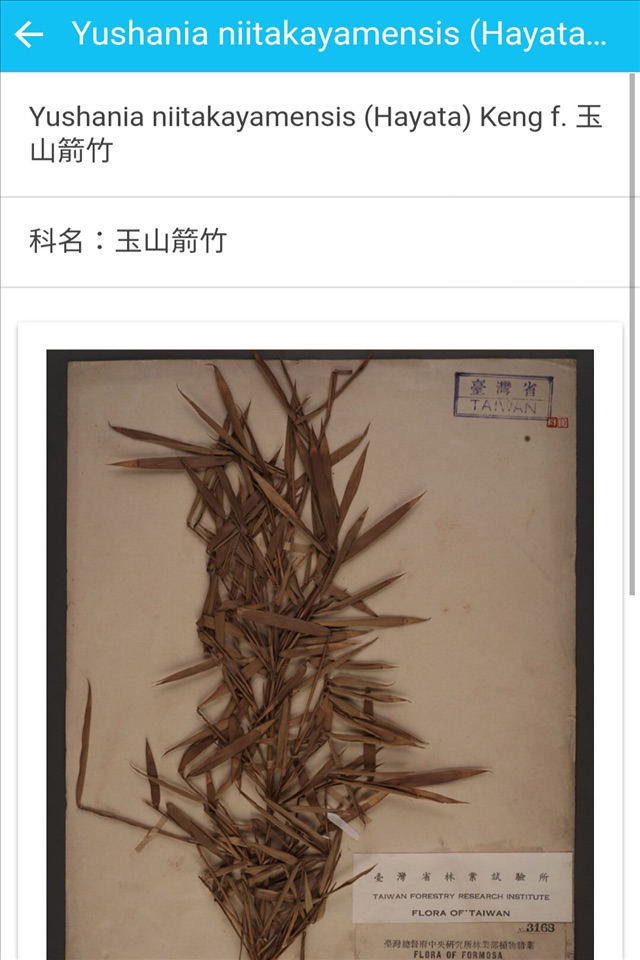 台灣植物標本資料庫 screenshot 2