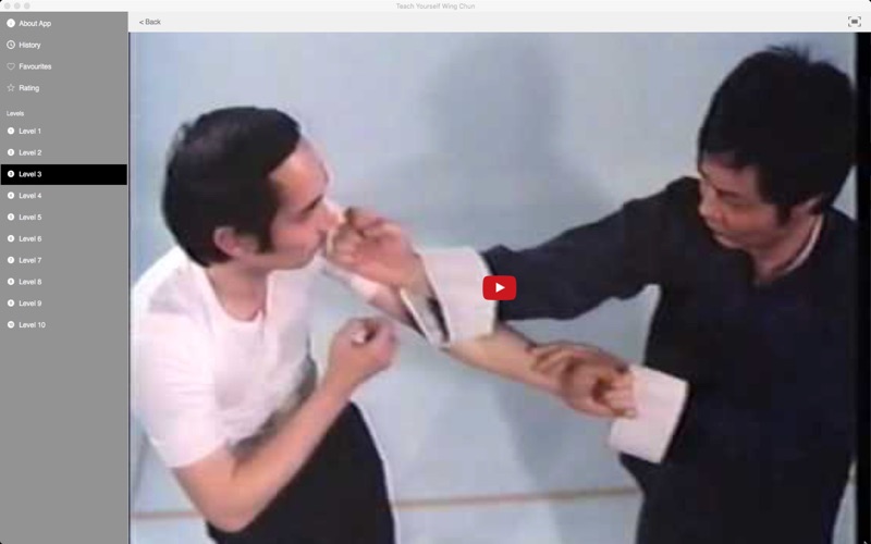 Teach Yourself Wing Chun thumbnail 4