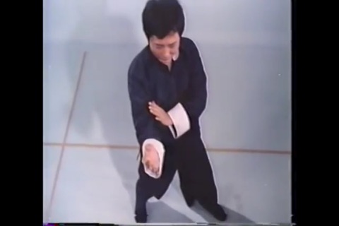 Teach Yourself Wing Chun screenshot 4