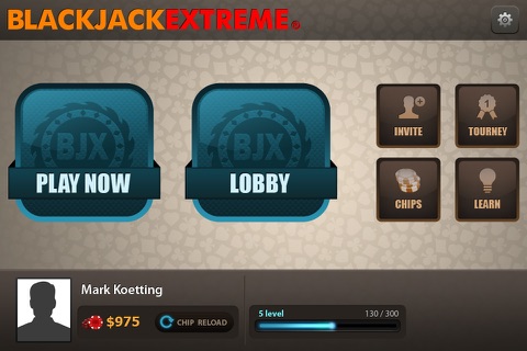 BlackJack eXtreme®  - "POKERIZED" BlackJack screenshot 2