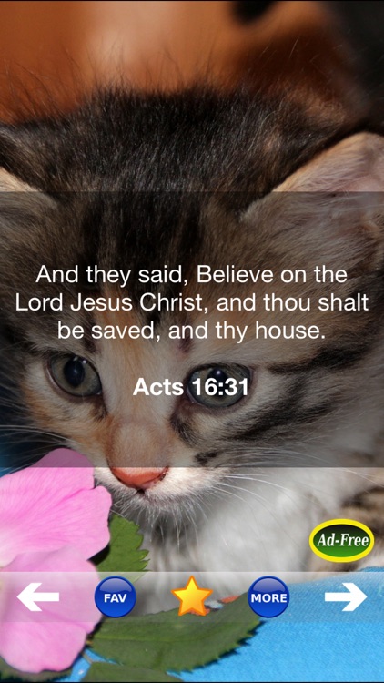 Bible Study for Kids FREE! Inspirational Verse of the Day App With Daily Devotionals & Inspirations!