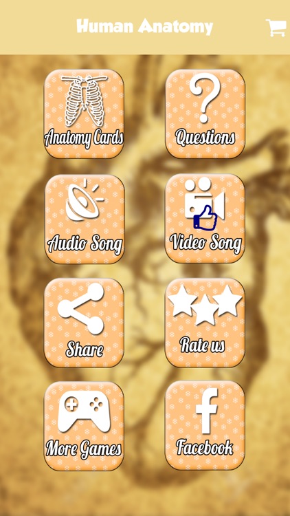 Human Body Anatomy Learning For Toddlers Practice