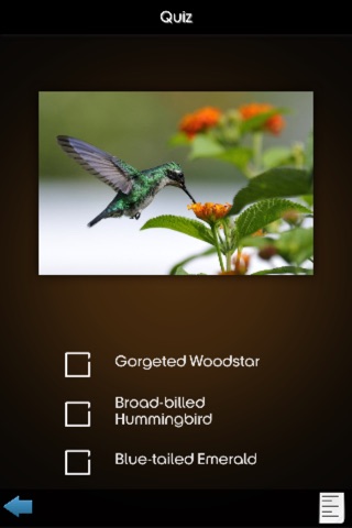 Hummingbirds Guide + screenshot 4