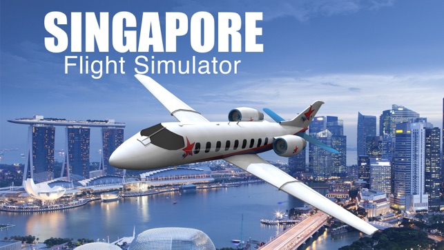 Singapore Flight Simulator