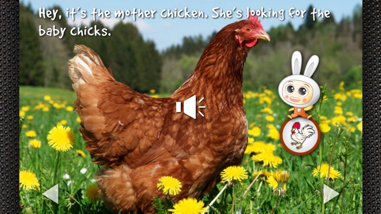 Oink! Learn Farm Animal Sound: Preschool Education
