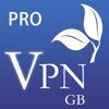 全球VPN 专业版 - 十年品牌,终身免费不限流量网络加速,Master